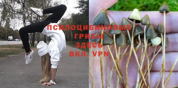 таблы Нея