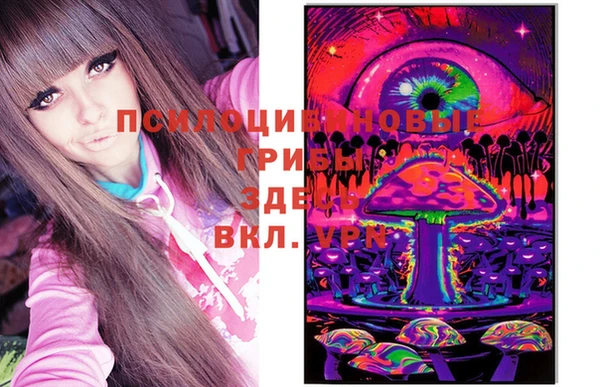 не бодяженный Богородицк