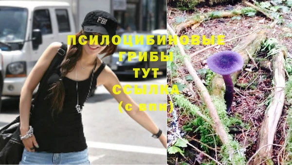 скорость Тобольск
