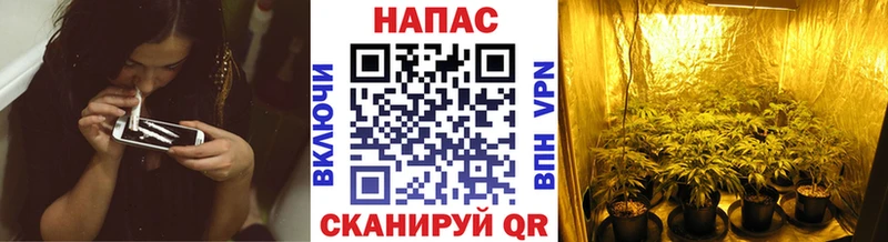 Бошки Шишки OG Kush  купить наркотики цена  Мосальск 